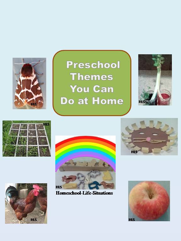 Different ideas for preschool themes