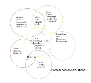 Venn diagram